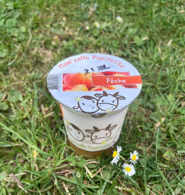 BRASSE SUR LIT DE FRUIT : PECHE